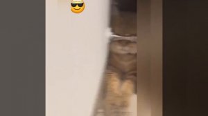 Видео от МЭН - Мне Это Нравится