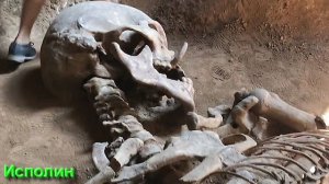 Разбор Терминов Волшебной Культуры от 15.02.26