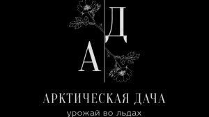 С нуля на севере. Начало освоения участка