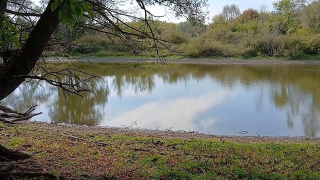 Тайны озера пение птиц и лягушачьи концерты смотреть онлайн