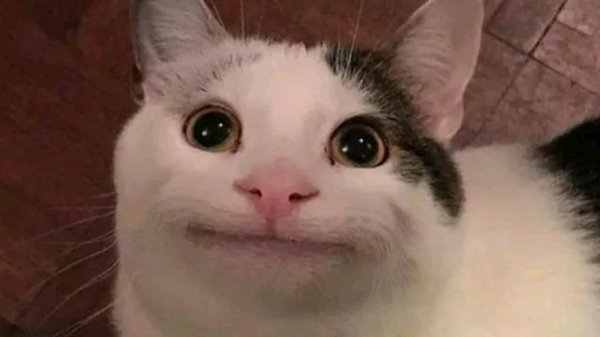 еду еду 2 лучше