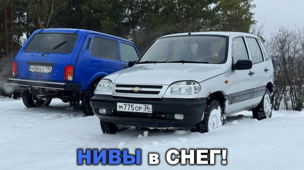 Как ехать на Нивах по мокрому снегу? На примере трёхдверки и Шнивы!