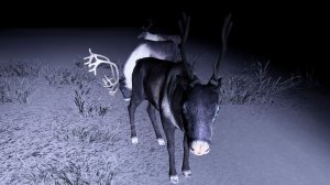 Рейс из Норильска. Там, где кончается дорога. Олени, снежная целина и контроль безопасности. ETS 2