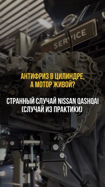 Чек горит, мотор трясёт, расход растёт, а пробег уже 154 537