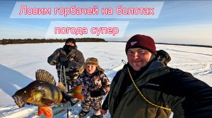 Ловим горбачей и щук, погода супер!