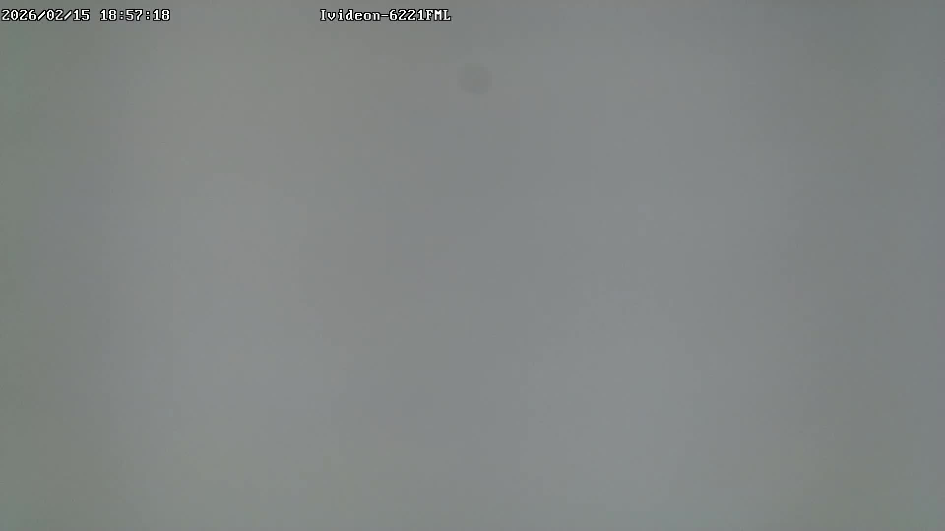 LIVE: channel43489494 смотреть онлайн