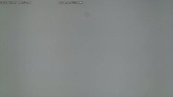 LIVE: channel43489494