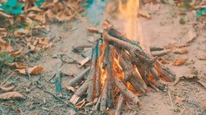 8 РАЗВЛЕЧЕНИЙ БЕЗ ДЕНЕГ