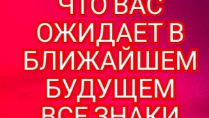 🎊ТЕЛЕЦ🎊 ЧТО ОЖИДАЕТ В БЛИЖАЙШЕЕ БУДУЩЕЕ🎊 СМОТРИМ🎉🎉🎉