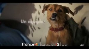 Зверский коп (2026) Трейлер