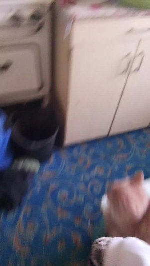 Вася хочет чай