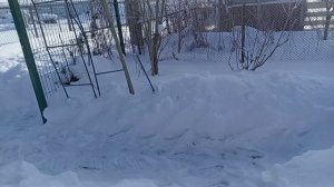 САД И ОГОРОД В ФЕВРАЛЕ.