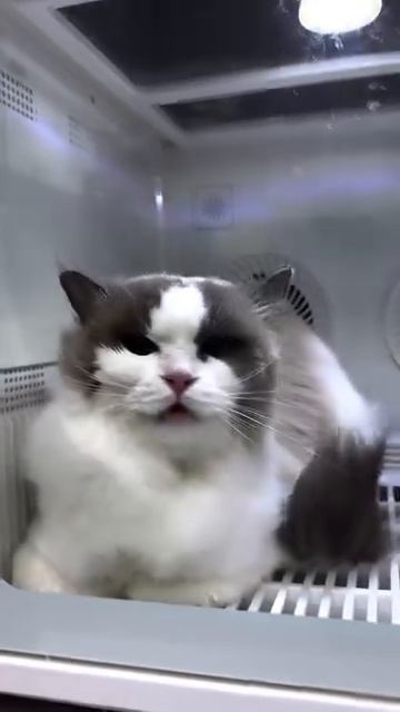 Для записи звоните +7 911 081 4252