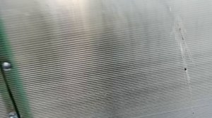 Всходы на 13 июня