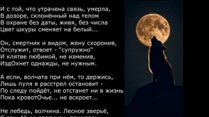 Музыка без границ. Лютый (рок-баллада о любви и верности)