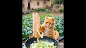 Новый Сектор (Я - ВЕГАН )