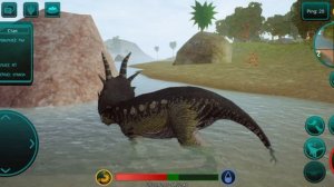 выживание в стираки