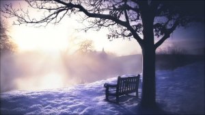 Это важно сделать с 16 по 22 февраля, чтобы исполнилось желание.