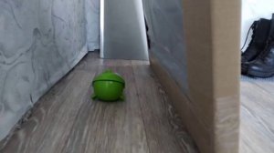 ам ням сборник