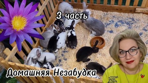 3 часть. БРЫЛЬЯ и костюм СТЮАРДЕССЫ❗️