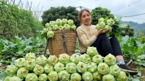 Собираю капусту на корм свиньям. Иду на рынок продавать кольраби. Жизнь Дуонг