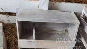 Оранский козовод представляет: козлячьи хлопоты.