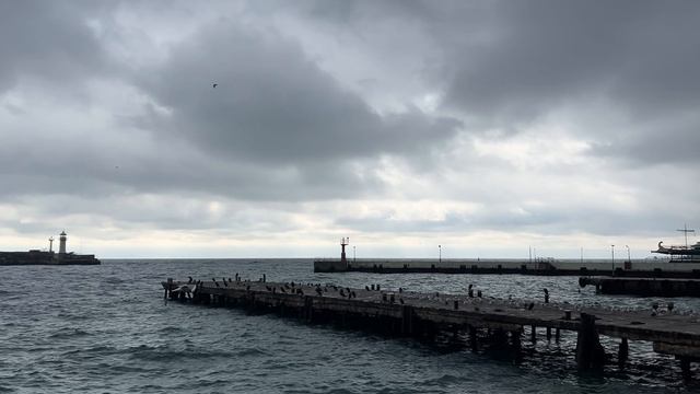 Ялта. Любимое Черное море. Набережная имени В.И. Ленина. 12.02.2026. Крым. Crimea. Yalta. смотреть онлайн