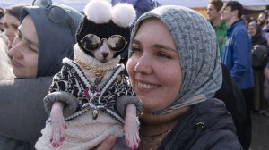 В Чечне выбрали самую стильную кошку