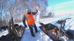 ОХОТА НА ЗАЙЦА  / ДОБЫЛИ ЗАЙЦА / ЗАЯЦ БЕЛЯК / ФИНСКАЯ ГОНЧАЯ