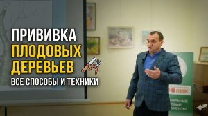Как правильно делать прививку деревьев: окулировка, копулировка, расщеп