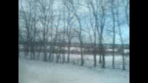 Природа 10 декабря 2008 г