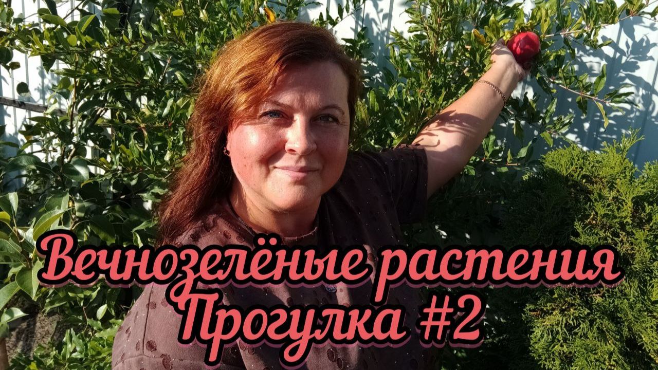 Вечнозеленые жители Южного сада. Осень. Прогулка #2