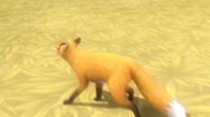 Первое видео по вилду. Лиса Делла