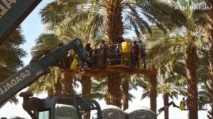 Удивительный Мир , Сельского Хозяйства