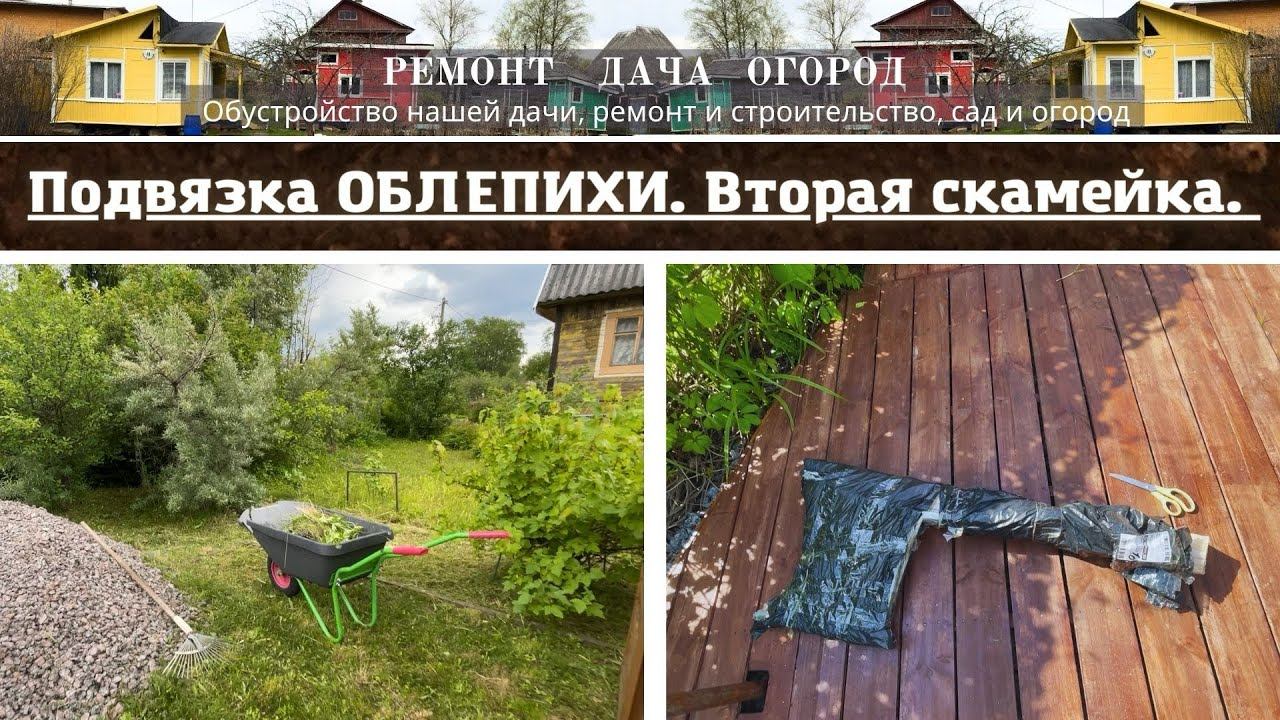 Подвязка и подьем дерева (облепихи). Собираем скамейку. Японская гвоздика. Распустились пионы.