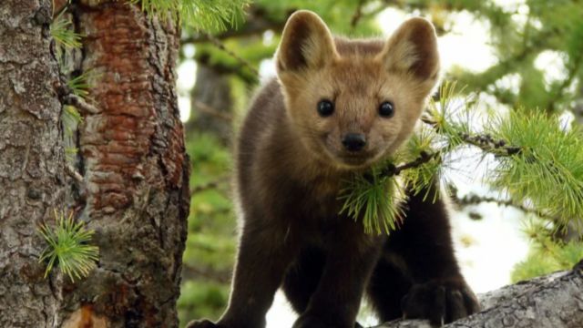 Дыра не Дура😃😃😃 смотреть онлайн