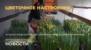 Новости. Центральный регион | Историческая память | Чистая вода | Цветочное настроение