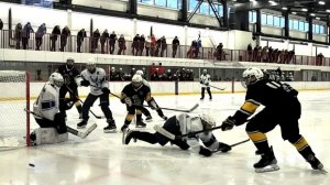 Пингвины 0-4 Синяя птица 15.02.2026