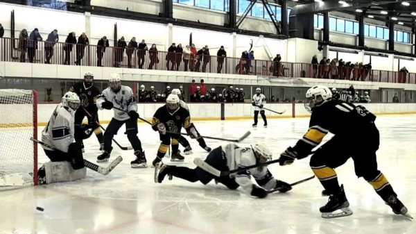 Пингвины 0-4 Синяя птица 15.02.2026