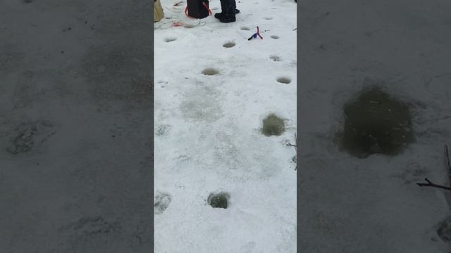 15-02-2026 смотреть онлайн