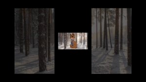 реакция на Ару!!!!