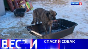 Вести Санкт-Петербург. Выпуск 20.50 от 14.02.2026