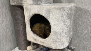 кто в берлогу залёг 👀?