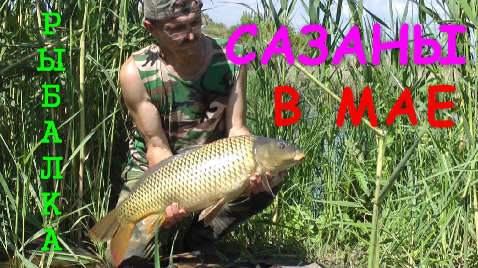 Ловля сазана. Моя рыбалка №3. Май 2012 г.