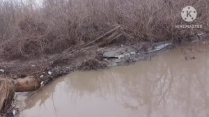 Вода как пришла за час так и ушла. Паводок или порыв центрального водовода ? Вода в кране то-же ушла