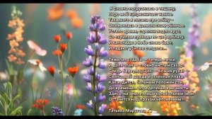 Я словно погрузилась в тишину...