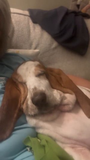 Проснулись?