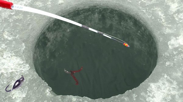 ОПУСТИЛ КЛОПА в ЛУНКУ...НЕРВЫ НЕ ЗРЯ! Удочку держи, лупит кивок. Зимняя рыбалка 2026