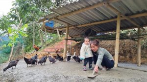 Мама поневоле. Дуонг. Заливаю пол для курятника. Сбор урожая чили и его продажа. Серия 52