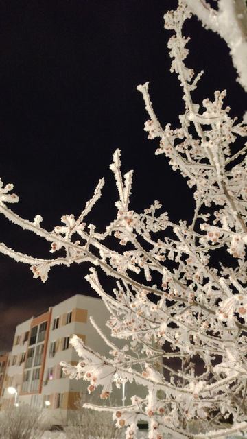 Засеребрилось